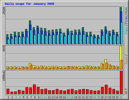 Daily usage for January 2026