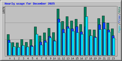 Hourly usage for December 2025