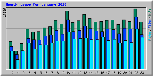 Hourly usage for January 2026