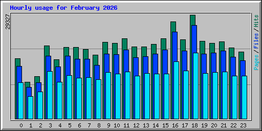 Hourly usage for February 2026